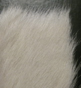 ���� ������������ ����� / white